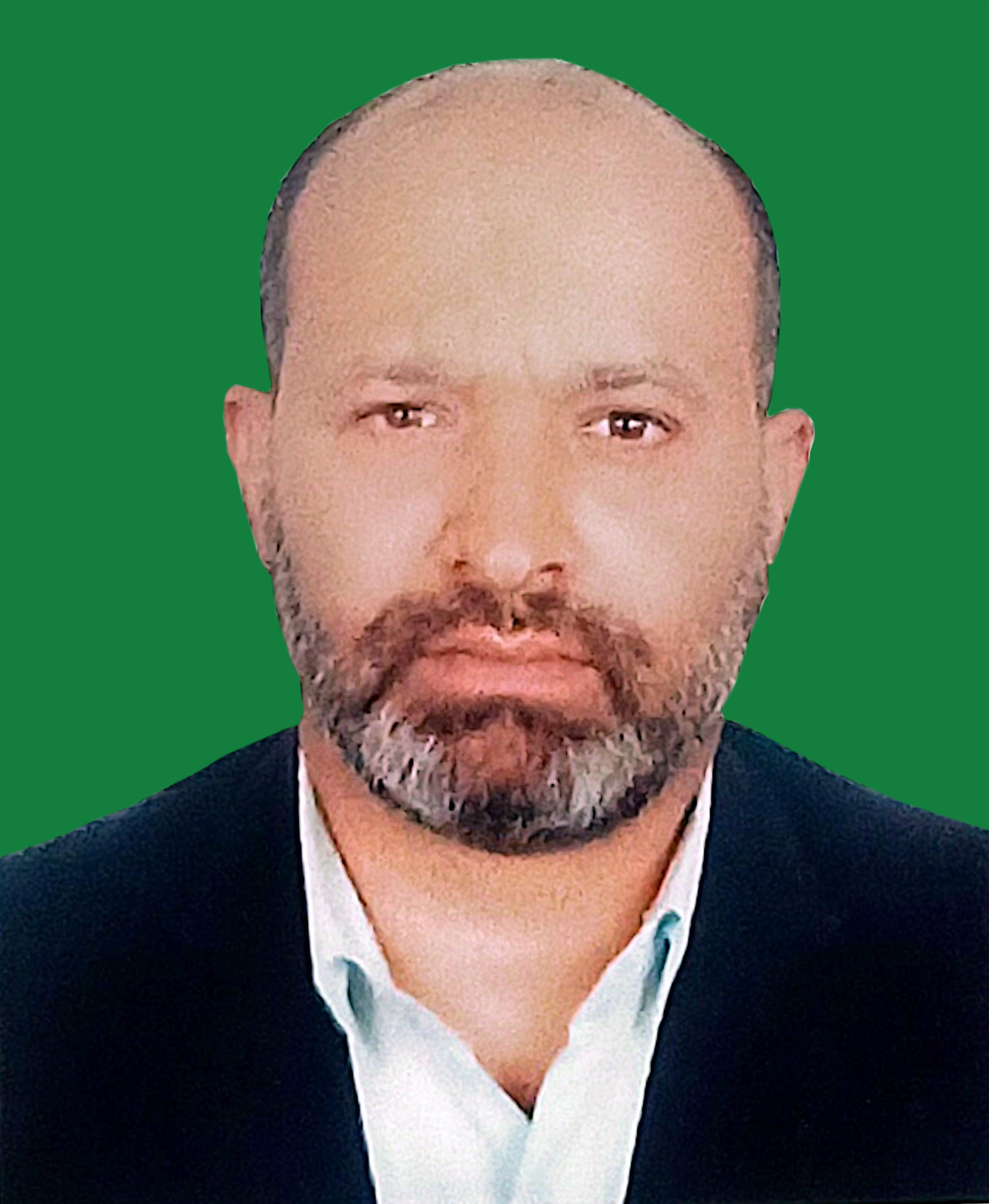 Sawari board director portrait